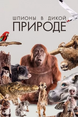 Шпионы в дикой природе 1-2 сезон