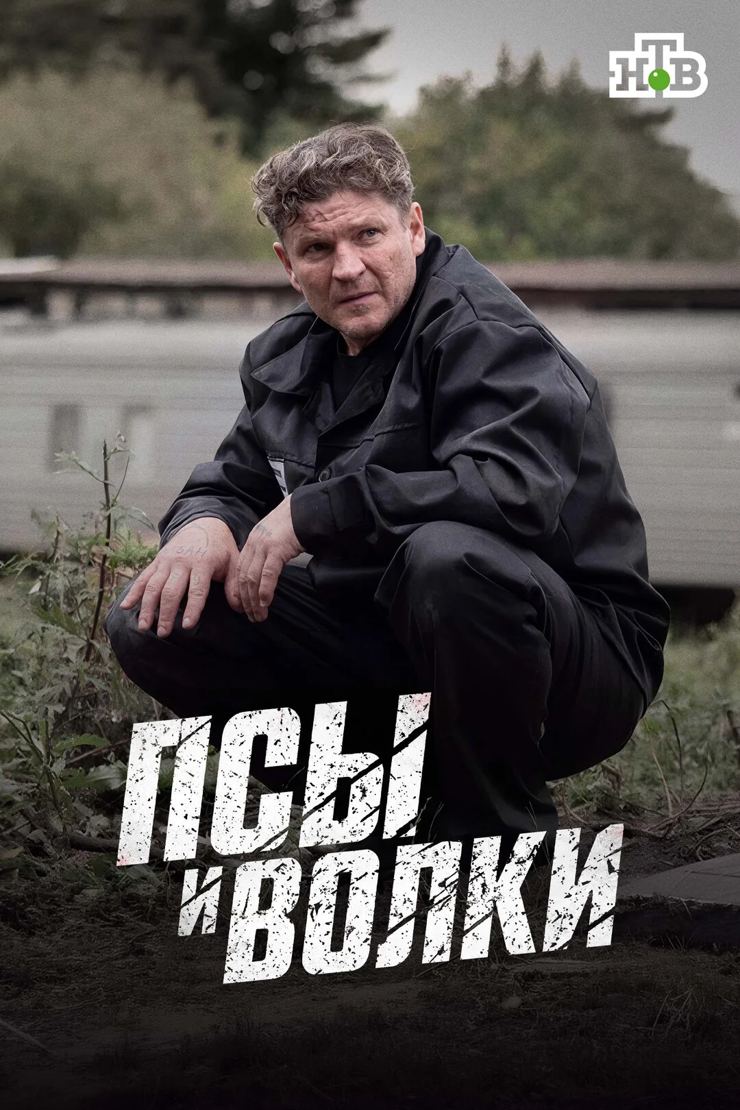 Псы и волки 1 сезон